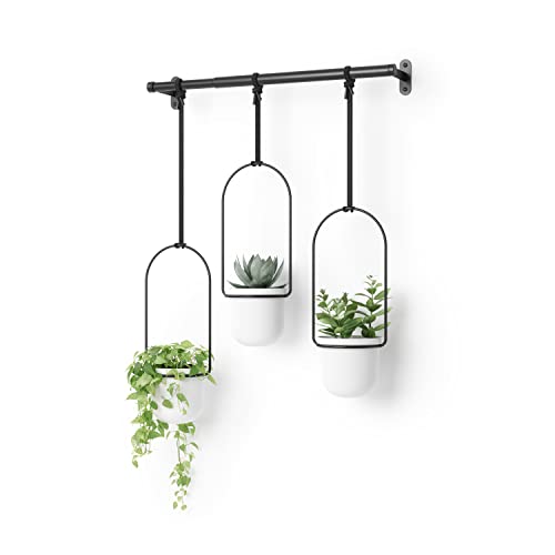 Umbra Triflora Vase, Hängeblumentopf, Wandvase, Blumenampel für Wand-und Deckenanbrinung, Melamin, Metall, 3 Töpfe, Weiss/Schwarz, 3er-Set
