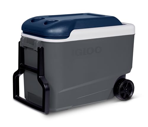 Igloo Maxcold 40 Roller Passiv-Kühlbox mit Rollen, 38 Liter, Blau, für Camping, Arbeit, Freizeit und Festivals