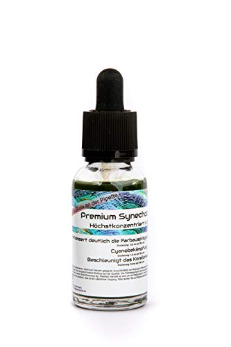 Synechococcus 30ml Plankton höchstkonzentriert & lebend mit Skala an der Pipette