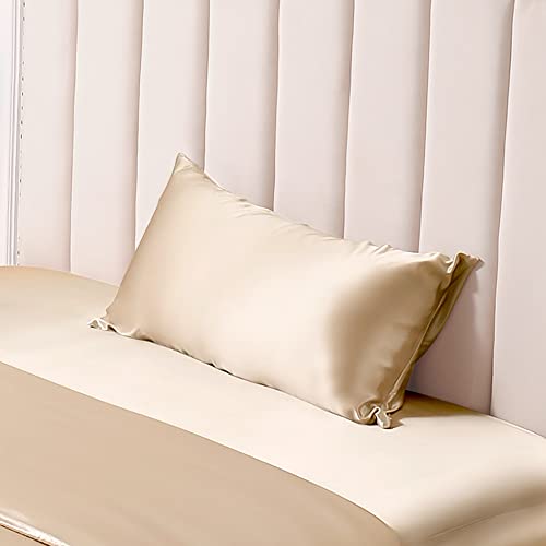THXSILK 25 Momme Seide Kissenbezug für Haar und Haut - Maulbeerseide Kissenbezug - Hypoallergen mit Versteckter Reißverschluss - Pure Seide auf Beide Seiten … (Champagner, 40x80cm)