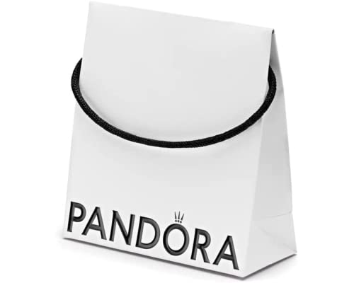 Pandora Umweltfreundliche Tasche für Schmuck, Perlen, Armbänder, Anhänger, Ohrringe, Anhänger (14 x 14 x 6) cm (2)