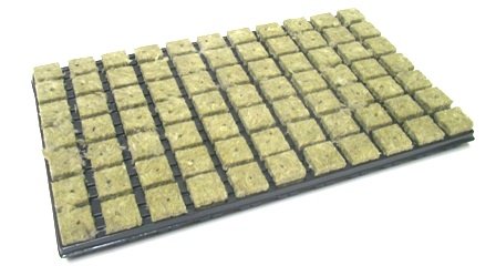 Grodan Steinwolle Anzuchtmatte 77er Tray 3,6 x 3,6 cm