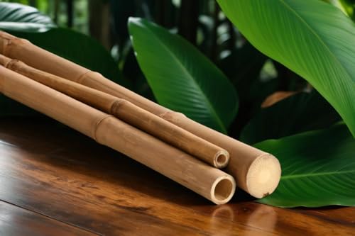 Bambusrohr Moso Ø 4-6 cm x L: 200 cm - Robuste Bambusstangen - Bambus als Bauholz Deko für Garten und Terrasse