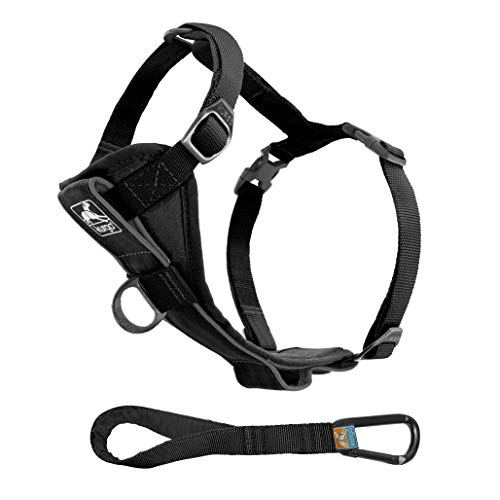 Kurgo Tru-Fit Smart Hundegeschirr, Mit gepolstertem Brustteil und D-Ring, Inklusive Autosicherheitsgurt, Größe M, Schwarz
