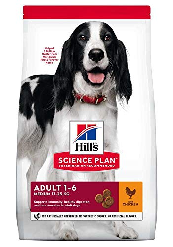Hills Canine Adult mit Huhn 12kg, 1er Pack (1 x 12 kg Packung) - Hundefutter