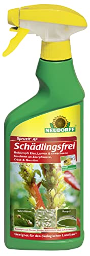 Neudorff Spruzit Schädlingsfrei bekämpft zuverlässig Pflanzenschädlinge an Zierpflanzen, Gemüse und Kräutern, 500 ml, Blattläuse,Schildläuse
