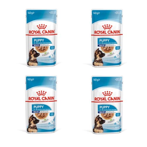 Royal Canin Maxi Puppy Welpenfutter für Hunde großer Rassen | 4er Pack | 4 x 10 x140g | Alleinfuttermittel für große Hundewelpen mit einem Endgewicht von 26 bis 44 kg
