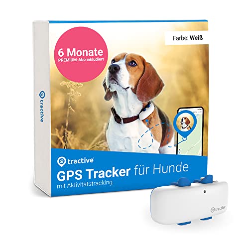 Tractive GPS Tracker für Hunde inkl. 6 Monate PREMIUM-Abo, Empfohlen von Martin Rütter, Weltweite Live-Ortung, Weglaufalarm, Gesundheitswarnungen & Aktivitätstracking, Mehrfacher Testsieger