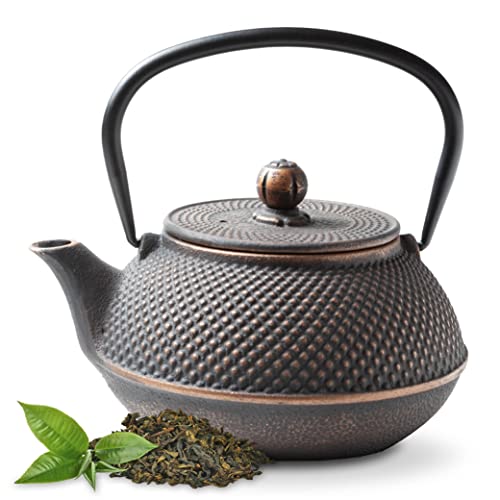 Tealøv TEEKANNE GUSSEISEN 800 ML | Gusseiserne Teekanne Im Japanischen Stil | Teekanne Guss mit Sieb aus Edelstahl | Hervorragende Wärmespeicherfähigkeit | Robust | Langlebig | Arare | Kupfer