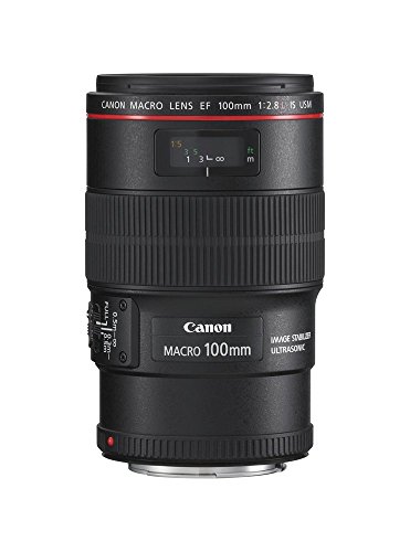Canon EF 100mm F2.8 L IS USM Macro-Objektiv (67mm Filtergewinde, bildstabilisiert) schwarz