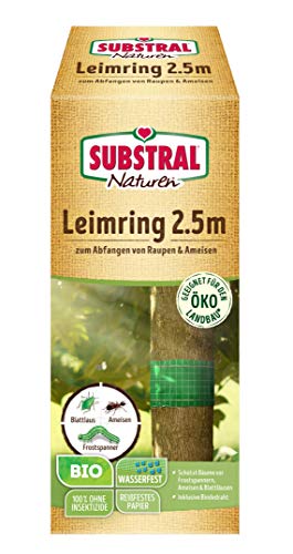 Substral Naturen Bio Leimring, Raupenleimring inkl. Bindedraht, gegen Raupen, Ameisen und andere Schadinsekten, 2,5 m