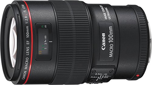 Canon EF 100mm F2.8 L IS USM Macro-Objektiv (67mm Filtergewinde, bildstabilisiert) schwarz