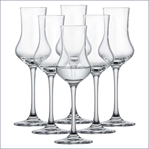 SCHOTT ZWIESEL Digestifset Classico (6er-Set), klassische Schnapsgläser mit Stiel, spülmaschinenfeste Tritan-Kristallgläser, Made in Germany (Art.-Nr. 120518)