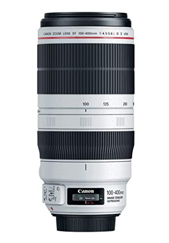 Canon EF 100-400mm F4.5-5.6L is II USM Telezoom-Objektiv (77mm Filtergewinde) schwarz