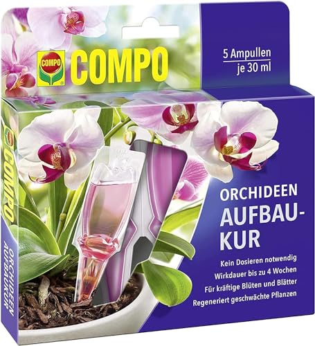 COMPO Orchideen-Aufbaukur – 4 Wochen Langzeitwirkung - für alle Orchideenarten - erste Hilfe bei Nährstoffmangel - 5 Ampullen je 30 ml
