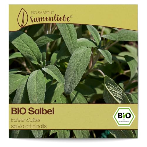Samenliebe BIO Salbei Samen alte Sorte Echter Salbei würzige Gartenkräuter 100 Samen samenfestes Kräuter Saatgut für Küche indoor und Balkon Garten BIO Kräutersamen mehrjährig und winterhart