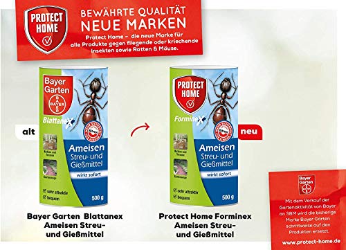 Bayer Ameisen Streu- und Gießmittel 1kg Vorteilspackung (2x500g)