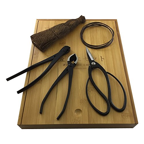 BonsaiOutlet tinyroots 5 Stück Carbon Stahl Beschneiden Kit