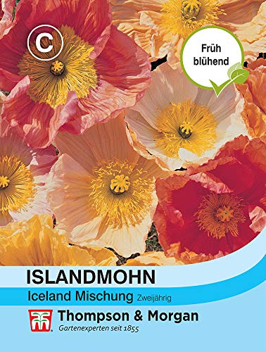 Thompson & Morgan AGT09069 Mohn Iceland Mischung (Mohnsamen)