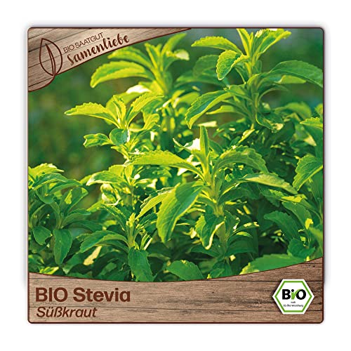 Samenliebe BIO Stevia Samen alte Sorte Süßkraut 10 Samen samenfestes Kräuter Saatgut für Küche indoor und Balkon Garten BIO Kräutersamen mehrjährig
