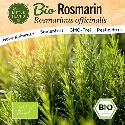 Little Plants BIO Rosmarin Samen 10 Rosmarinsamen Kräutersamen Samenfest für Kräutergarten Kräuter Samen Küchenkräuter für Küche, Balkon und Garten