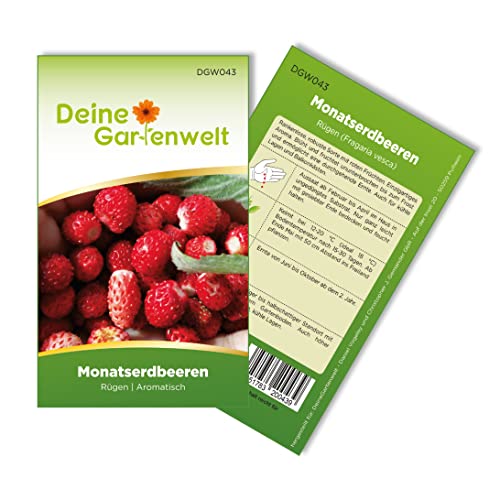 Monatserdbeeren Rügen Samen - Fragaria vesca - Erdbeersamen - Obstsamen - Saatgut für 100 Pflanzen