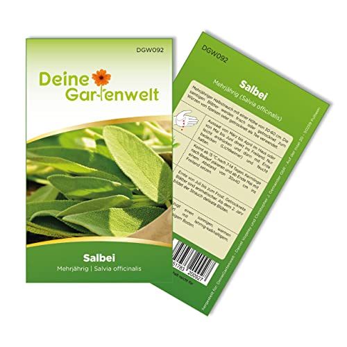 Salbei Samen - Salvia officinalis - Salbeisamen - Kräutersamen - Saatgut für 40 Pflanzen