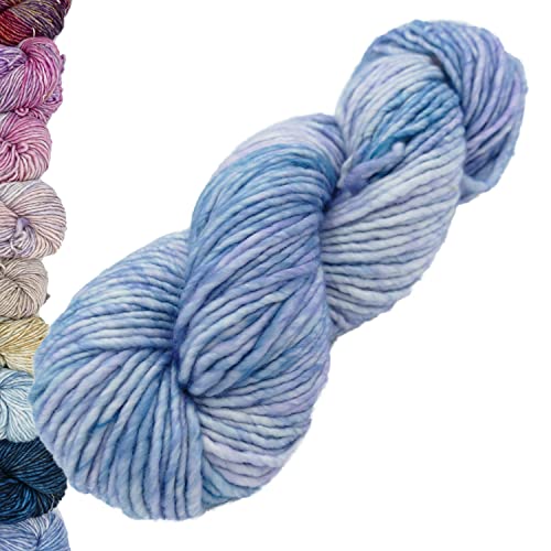 Malabrigo Wolle handgefärbt mulesing frei | Mecha | weiche Merinowolle mit Farbverlauf zum Stricken und Häkeln | 100g 120m (331 Lorelai)