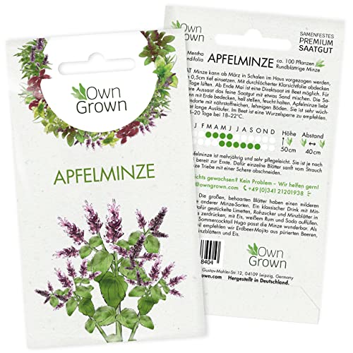 Apfelminze Samen: Premium Mojito Minze Samen für die Anzucht von 100 Kräuter Pflanzen in Balkon u. Garten – Wildkräuter Samen Kräuter – Küchenkräuter – OwnGrown Kräuter Samen für die Minze Pflanze
