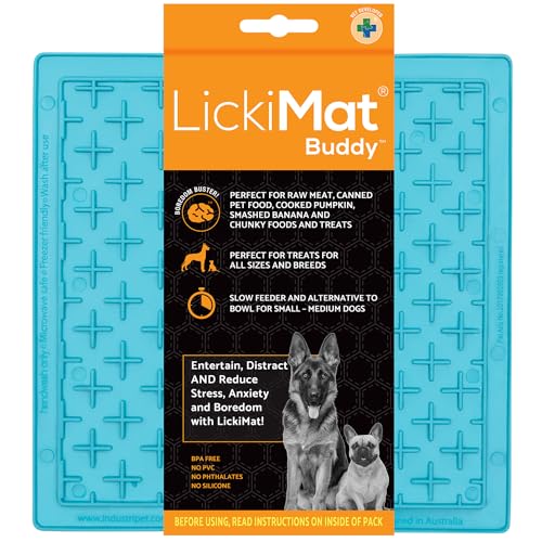Lickimat Buddy Dog Türkis, 1 Stück (1er Pack)