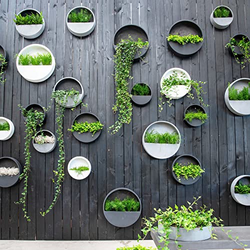 Finestgreen Hanging Wally Pflanzgefäß Grau | Wandgefäß zum bepflanzen (XS Ø:30 T:7 cm, Grau) | Pottery Pots