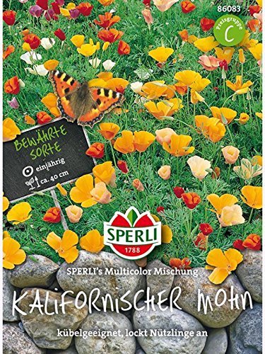 Mohn (Schlafmützchen) Bunte Mischung