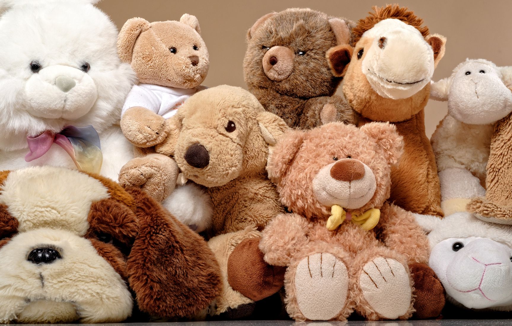 Tiere zum kuscheln
