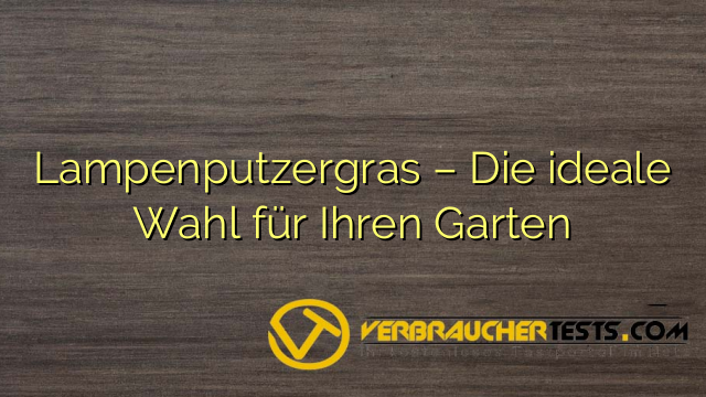 Lampenputzergras – Die ideale Wahl für Ihren Garten