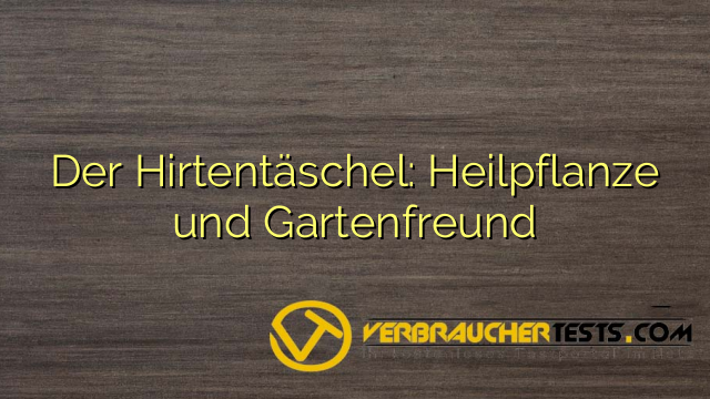 Der Hirtentäschel: Heilpflanze und Gartenfreund