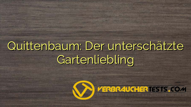 Quittenbaum: Der unterschätzte Gartenliebling
