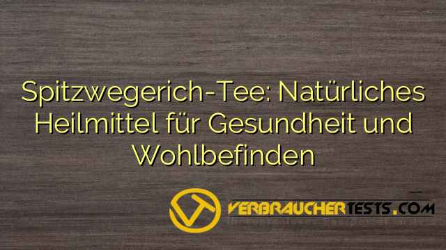 Spitzwegerich-Tee: Natürliches Heilmittel für Gesundheit und Wohlbefinden