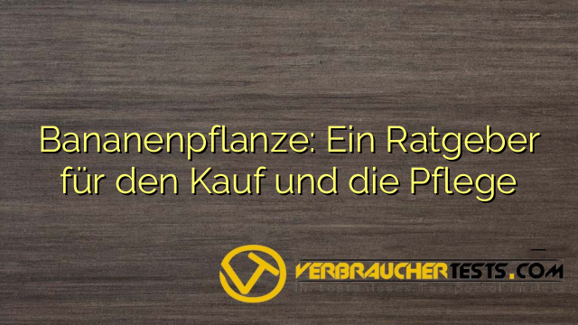 Bananenpflanze: Ein Ratgeber für den Kauf und die Pflege