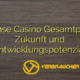 Intense Casino Gesamtprofil: Zukunft und Entwicklungspotenzial