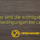 Was sind die wichtigsten Bonusbedingungen bei Levant?