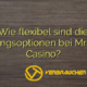 Wie flexibel sind die Zahlungsoptionen bei Mr Sloty Casino?