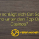 Wie schlägt sich Cat Spins Casino unter den Top Online Casinos?