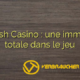 Bigclash Casino : une immersion totale dans le jeu