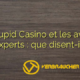 Stupid Casino et les avis d’experts : que disent-ils ?