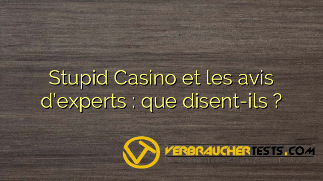 Stupid Casino et les avis d’experts : que disent-ils ?